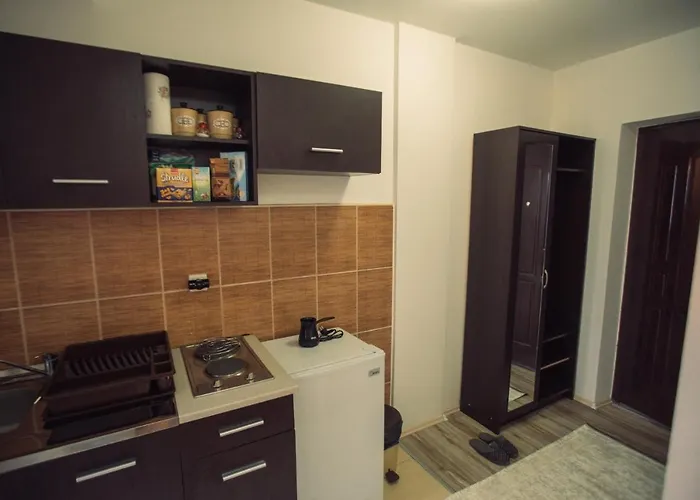 Aber 科帕奥尼克