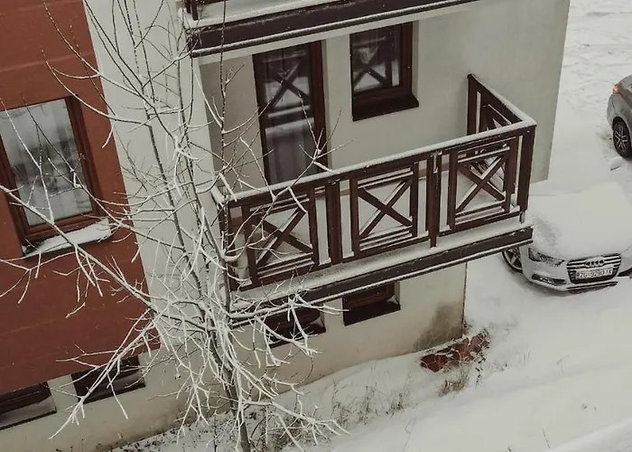 Aber 科帕奥尼克