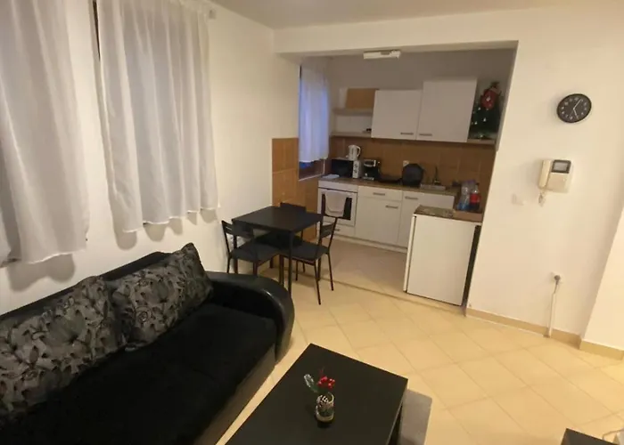 Aber 科帕奥尼克